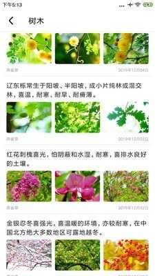 植物百科app
