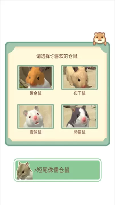 我的仓鼠_https://www.221u.com_休闲益智_第1张