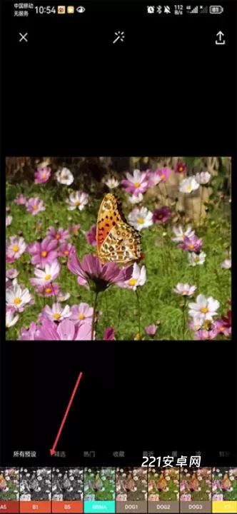VSCO美颜相机_https://www.221u.com_摄影图像_第1张