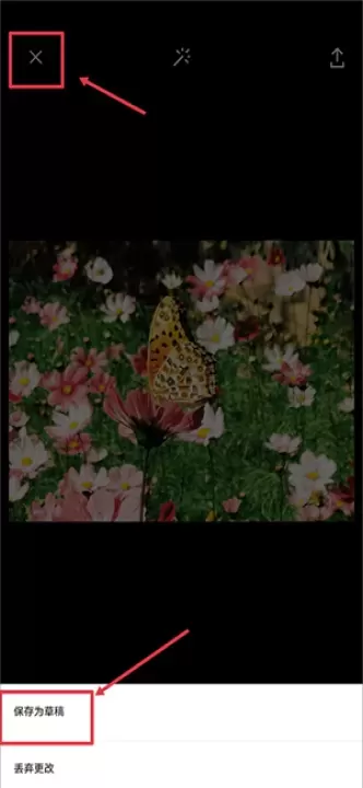 VSCO美颜相机_https://www.221u.com_摄影图像_第2张