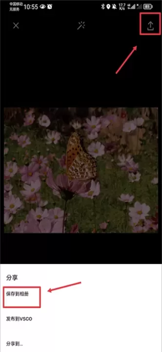 VSCO美颜相机_https://www.221u.com_摄影图像_第4张